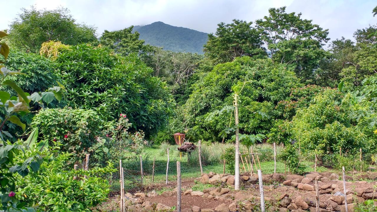 Finca Mystica Mérida Exterior foto